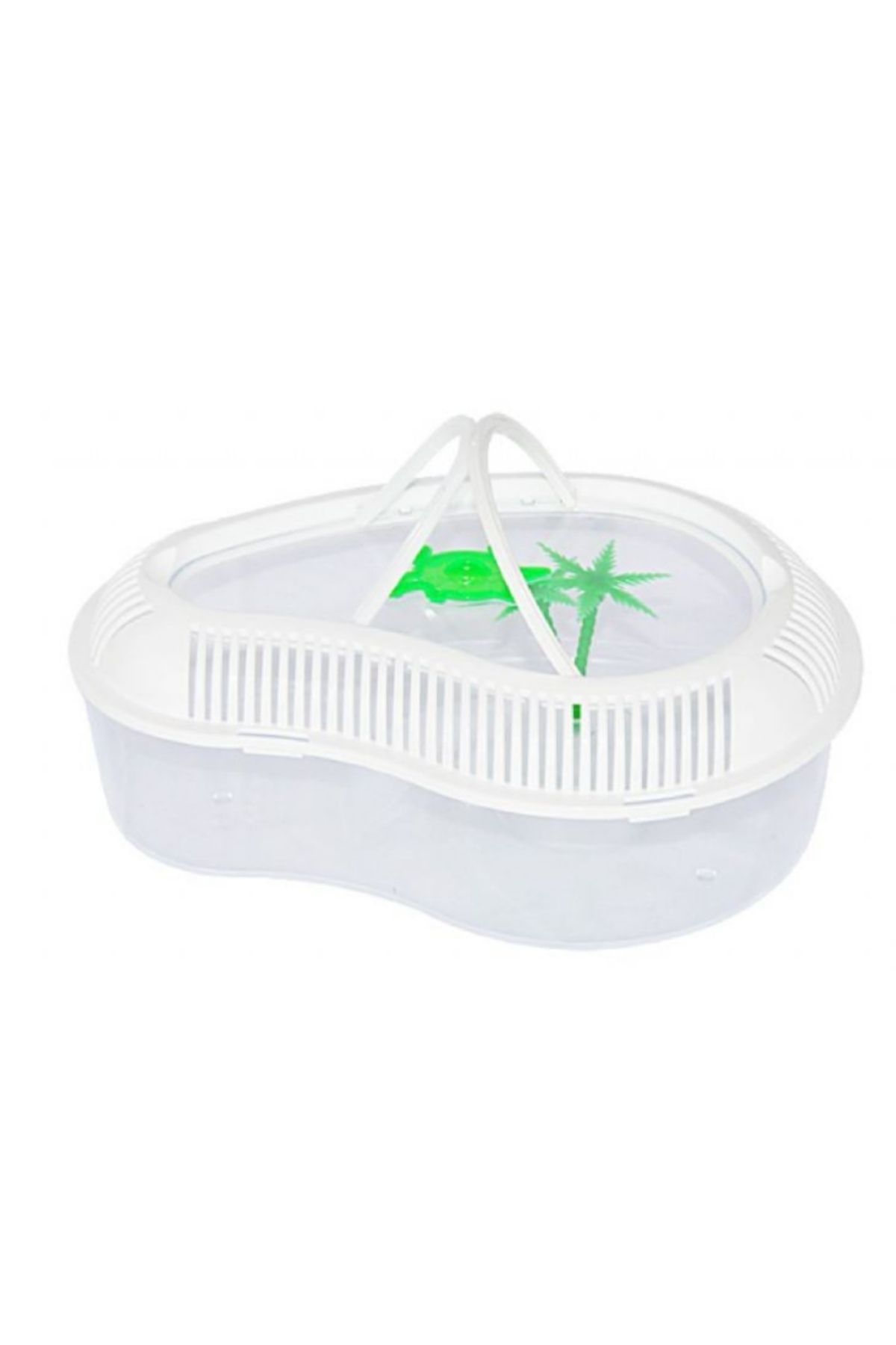 Kapaklı Kaplumbağa Bahçesi Beyaz