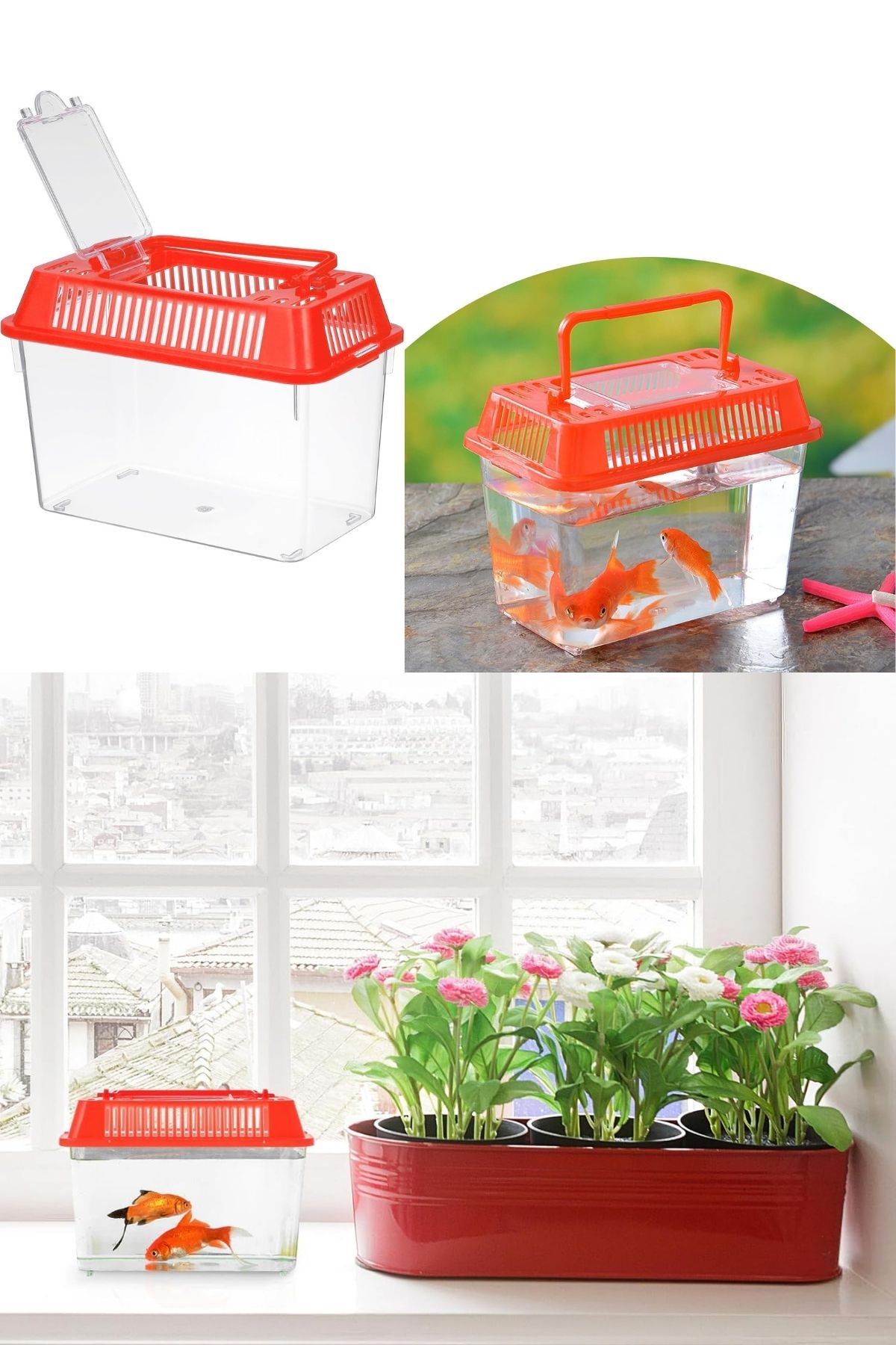 Taşınabilir Kulplu Mini Akvaryum ve Fanus