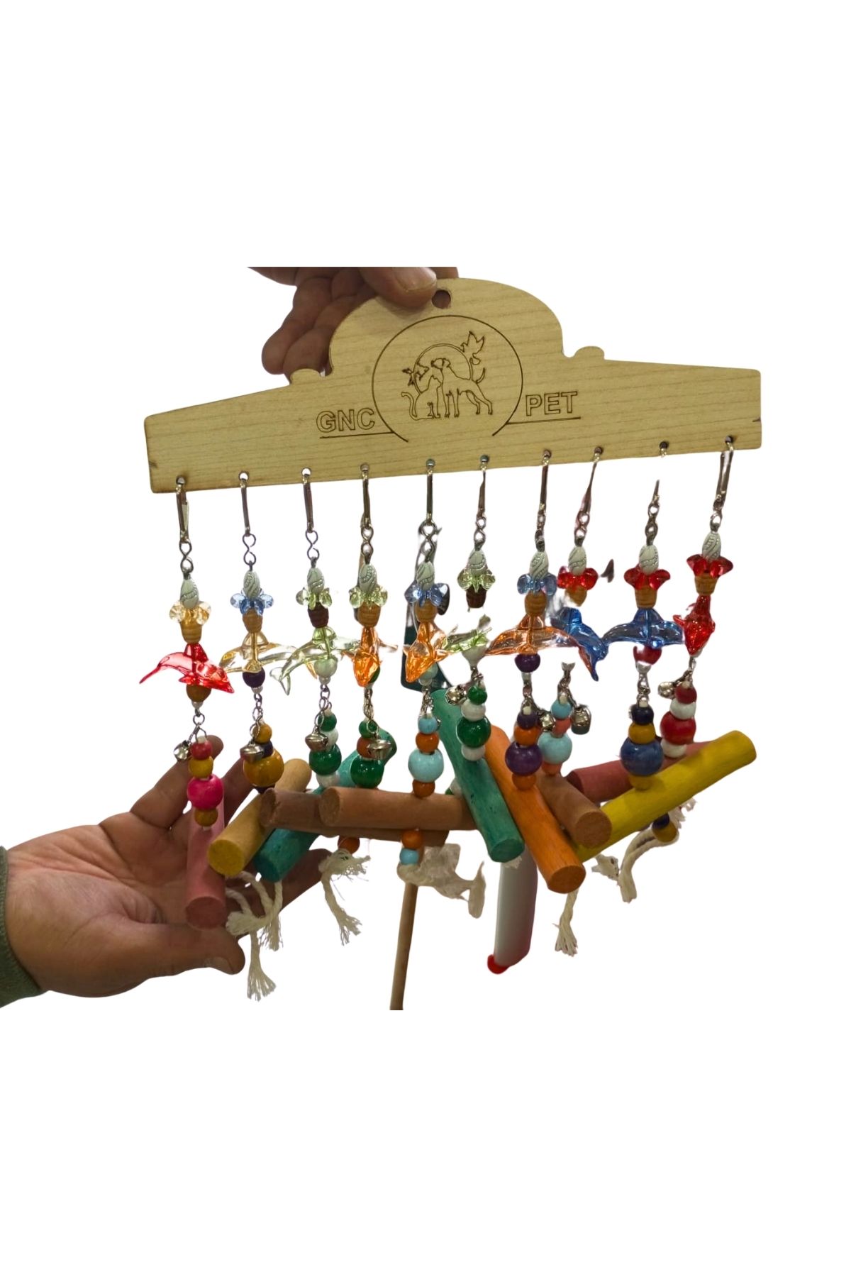 10lu Evcil Hayvan Süs