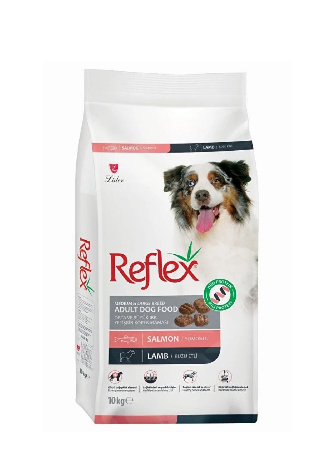 Somonlu ve Kuzu Etli Orta ve Büyük Irk Yetişkin Köpek Maması 10 kg