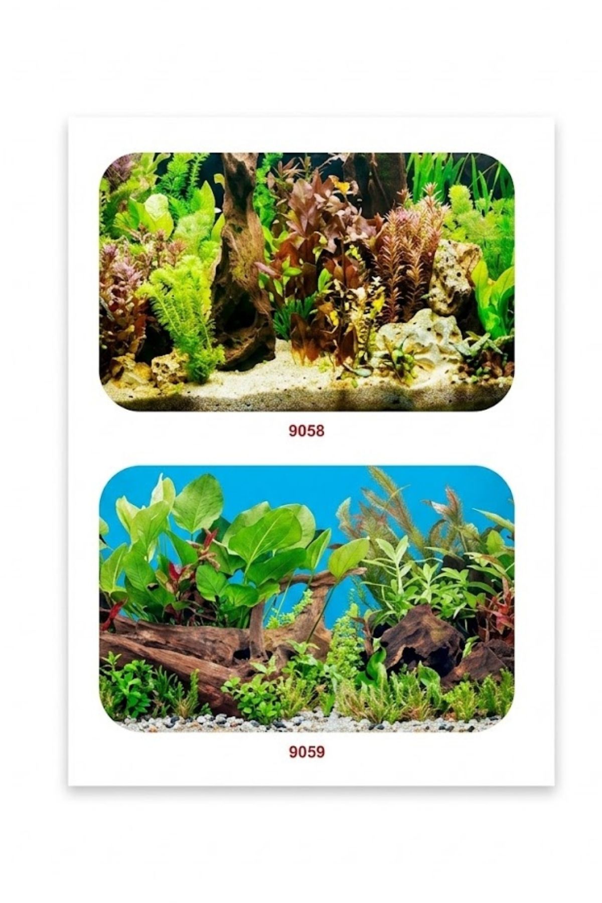 Akvaryum Arka Plan Posteri 40 cm